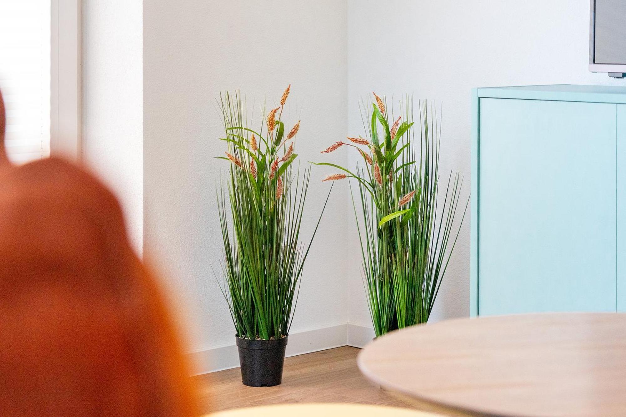 Apartment Am Deich 02 グレートジール エクステリア 写真